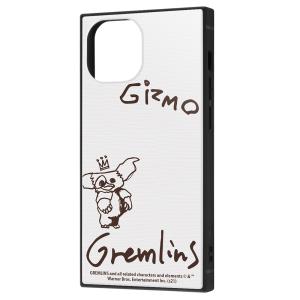 イングレム iPhone 13 mini用  耐衝撃ハイブリッドケース KAKU IQ-WP30K3TB/ GR012