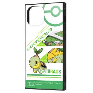 イングレム iPhone 13 mini用  耐衝撃ハイブリッドケース KAKU IQ-PP30K3TB/ PK20