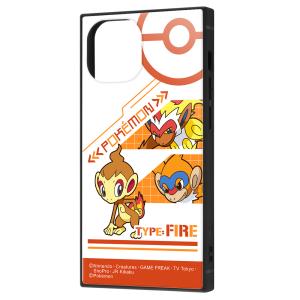 イングレム iPhone 13 mini用  耐衝撃ハイブリッドケース KAKU IQ-PP30K3TB/ PK21