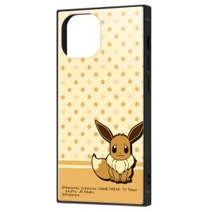 イングレム iPhone 13 mini用  耐衝撃ハイブリッドケース KAKU IQ-PP30K3TB/ PK19