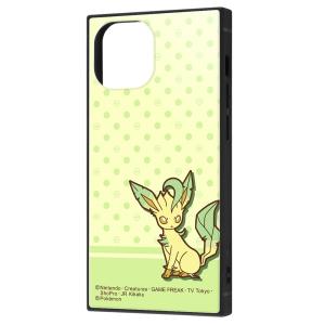 イングレム iPhone 13 mini用  耐衝撃ハイブリッドケース KAKU IQ-PP30K3TB/ PK23