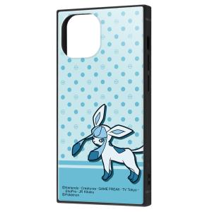 イングレム iPhone 13 mini用  耐衝撃ハイブリッドケース KAKU IQ-PP30K3TB/ PK24