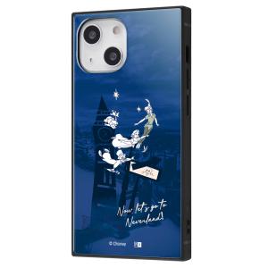 イングレム iPhone 13 mini用  耐衝撃ハイブリッドケース KAKU IQ-DP30K3TB/ PP1