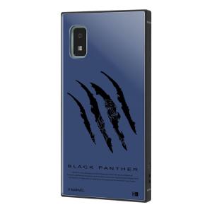 イングレム wish2/ wish用  耐衝撃ハイブリッドケース KAKU IQ-DMAQWIK3TB/ BKP1