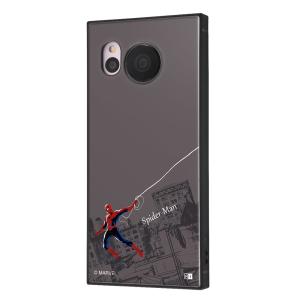 イングレム AQUOS sense7用  耐衝撃ハイブリッドケース KAKU IQ-DMAQM1K3TB/ SPM2