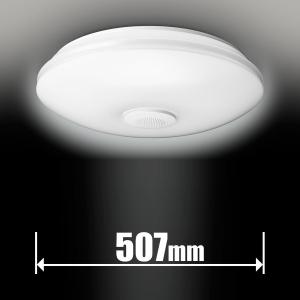 東芝 10畳〜12畳用 LEDシーリングライト(カチット式) TOSHIBA NLEH12018A-SLC 返品種別A