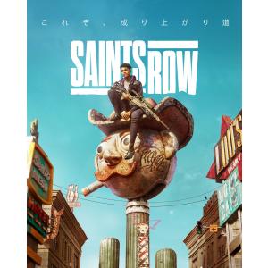 Koch Media Saints Row  返品種別B