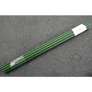 DAIM グリーン鉄線 直径3.2mm×75cm 10本入りパック 第一ビニール