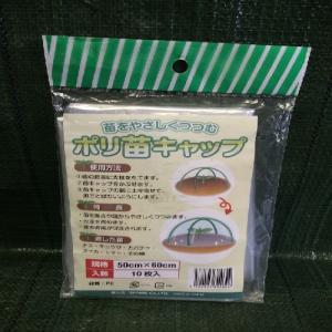 シンセイ ポリ苗キャップ 10枚入り(50cm×60cm) PEナエキヤツプ 返品種別B