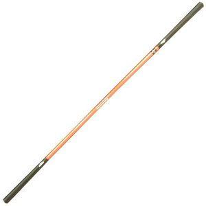 エリートグリップ スイング専用トレーニング器具(DVD付)ワンスピード(オレンジ)  返品種別A