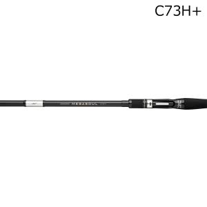 デジーノ レーベン トルクチューン DLT-C71H+R2S : ウォーターハウス