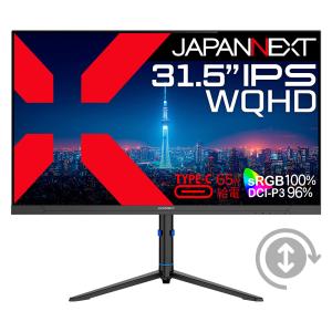 32インチ IPS モニター 2560x1440 100Hz HDR10 2026年1月】モニター 32インチ（解像度：WQHD（2560x1440））の