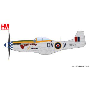 ホビーマスター 1/48 ホーカー ハリケーン MK.1a イギリス空軍 マーマ