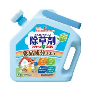 アースガーデン おうちの草コロリ 6L(非農耕地用) アース製薬 返品種別A