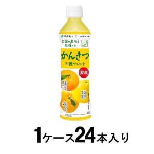 ニッポンエール 国産かんきつ三種ブレンド 400g(1ケース24本入) 伊藤園 返品種別B｜joshin