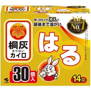 桐灰はる 30個 小林製薬 返品種別Aの商品画像