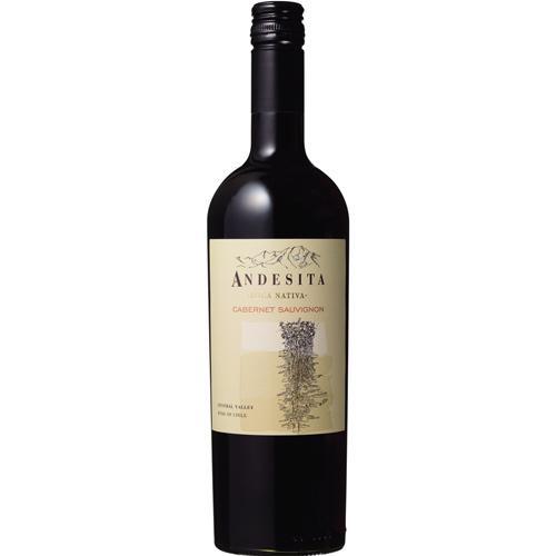 アンデシータ カベルネ ソーヴィニヨン 赤 750ml ヴィーニャ・カサ・シルヴァ 返品種別B
