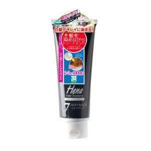 テンスターカラートリートメント　ソフトブラック 12本セット テンスター ヘナ カラートリートメント ソフトブラック 250g 返品種別A