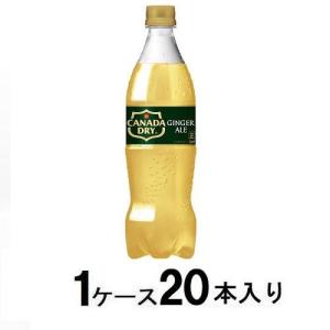 GINGER ALE（ジンジャーエール） カナダドライ 700ml (20本セット