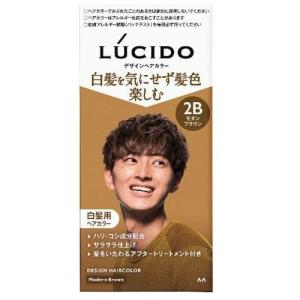 シエロヘアカラーEXミルキー0 ひときわ明るいライトブラウン