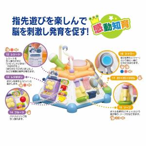ローヤル たのしく知育! やみつきボックス+(...の詳細画像2