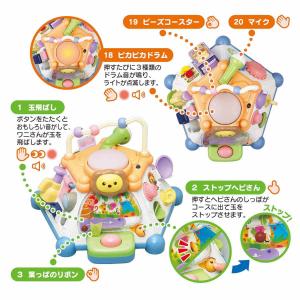 ローヤル たのしく知育! やみつきボックス+(...の詳細画像4