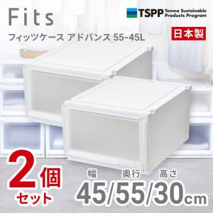 天馬 (2個組)フィッツケース アドバンス クローゼット収納 幅45×奥行55×高さ30cm(ホワイトクリア) 2025年新色 AD55-45L-2 返品種別A