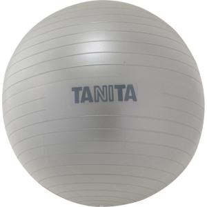 タニタ ジムボール 65cm(シルバー) TANITA バランスボール TS-962 返品種別A｜joshin