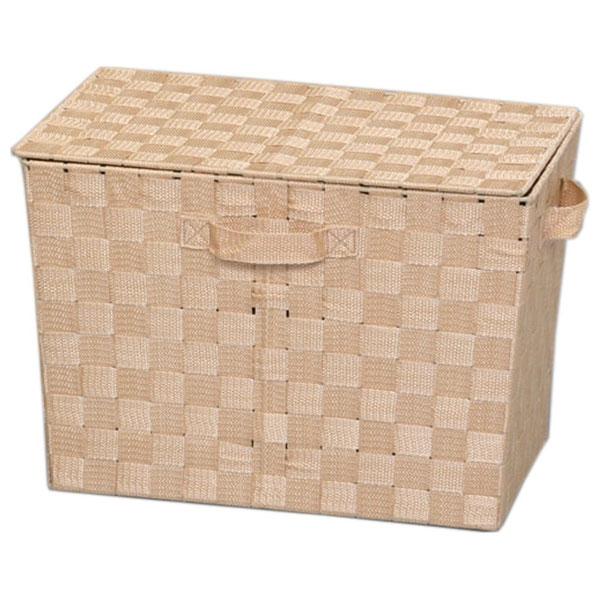 アイリスオーヤマ カラーバスケット フタ付 (ベージュ) IRIS CBK-38DT(ベ-ジユ) 返...