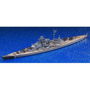 アオシマ 1/ 700 ウォーターラインシリーズ No.618 ドイツ海軍戦艦 ビスマルクプラモデル 
