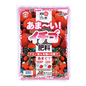 東商 あま〜いイチゴ肥料 2kg TS-2055250 返品種別B