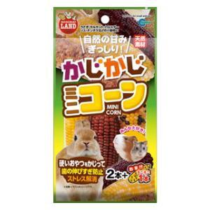 かじかじミニコーン 2本＋おまけ1本 マルカン 返品種別B