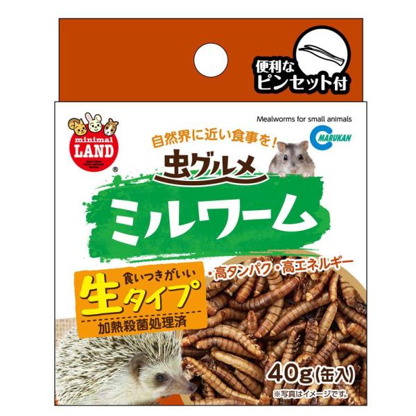 虫グルメ ミルワーム 40g マルカン 返品種別B