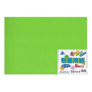 エヒメ紙工 色画用紙 4つ切り 5枚 きみどり