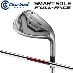 kasco（キャスコ） DOLPHIN RUNNING WEDGE DRW-225 39度 ドルフィン