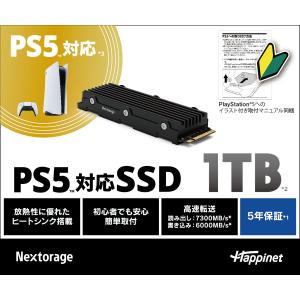 1TB M.2 Nextorage ヒートシンク付 NVMe