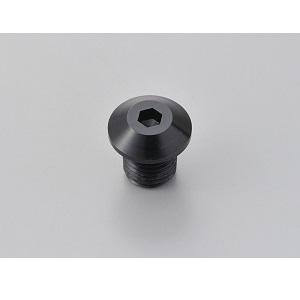 デイトナ ミラー穴埋めボルトM10 正ネジタイプ DAYTONA 99616 返品種別B