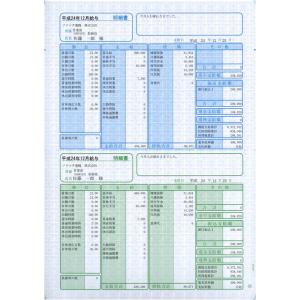 ソリマチ 給与・賞与明細書 (明細タテ型) (500枚入) SR230 返品種別A｜joshin