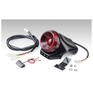 フェンダーレスキット タイプ2 ウイルズウィン（WirusWin） レブル250