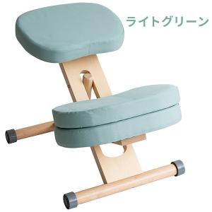 宮武製作所 補助クッション付き プロポーションチェア キッズ(ナチュラルライトグリーン) MIYATAKE 2024年12月発売新色 CH-N889CK_NTLGR 返品種別A
