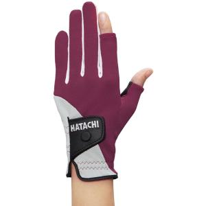 ハタチ クールメッシュ手袋 HATACHI グラウンドゴルフ用品 HAC-BH8027-67-ML