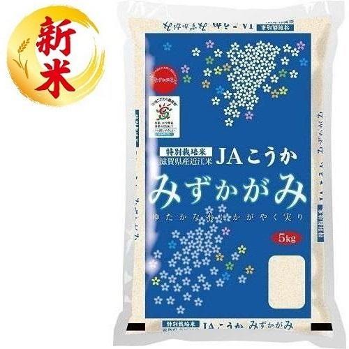 特別栽培米 滋賀県産みずかがみ 5kg 滋賀県 返品種別B