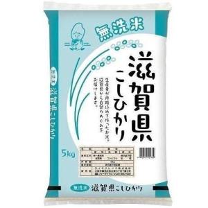 無洗米 滋賀県産こしひかり 5kg 滋賀県