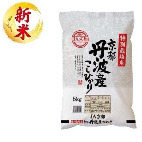 特別栽培米 京都丹波産こしひかり 5kg ライスフレンド 返品種別B