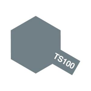タミヤ タミヤスプレー TS-100 ブライトガンメタル(セミグロス)(85100)塗料 