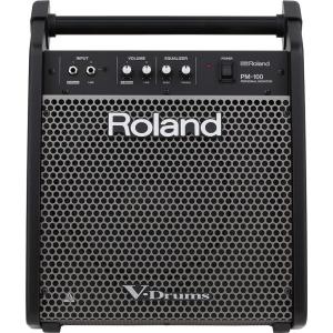 ローランド モニター・スピーカー・システム Roland V-Drums専用 PM-100(ROLAND) 返品種別A