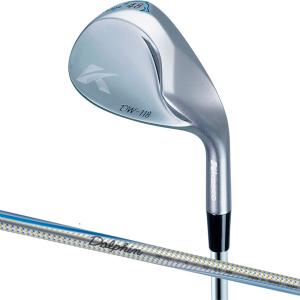 キャスコ ドルフィンウェッジ Dolphin DP-151シャフト 48°フレックス：R DW-118 CBR 48