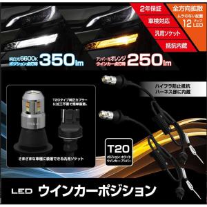 PIAA LEWP2 PIAA ピア ウインカーポジション LED オールインワンキット