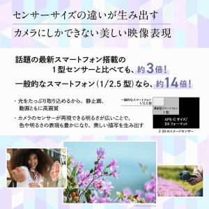 ニコン ミラーレス一眼カメラ「Z30」ダブルズ...の詳細画像2