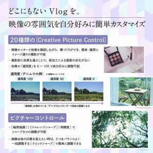 ニコン ミラーレス一眼カメラ「Z30」ダブルズ...の詳細画像3